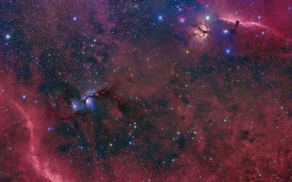 Orion Nebula