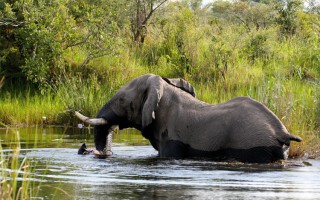 Lianshulu Game Lodge