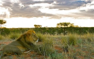 Suricate Tented Lodge